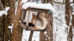 Выходные в Новочеркасске будут дождливыми 