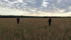В Ростовской области открылся сезон охоты на перепелов