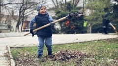 Новочеркасск принимает участие в областном месячнике чистоты
