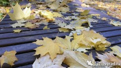 В Новочеркасске ожидаются первые осенние заморозки