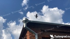 В Новочеркасске в начале июля ожидается усиление жары