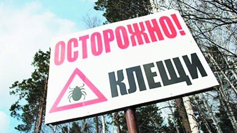 Как защититься от укуса клеща отправляясь на природу за город