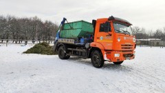 Жителям Новочеркасска напоминают, что новогодние ели нельзя выкидывать как бытовой мусор
