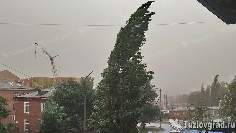 В Ростовской области ожидаются пыльные бури