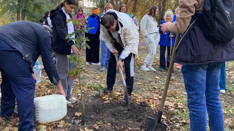В парке Электровозостроителей в Новочеркасске высадили три аллеи деревьев