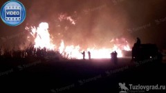 В окрестностях Новочеркасска бушует крупный ландшафтный пожар, видео