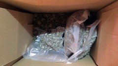 Житель Новочеркасска хранил дома коробку с марихуаной
