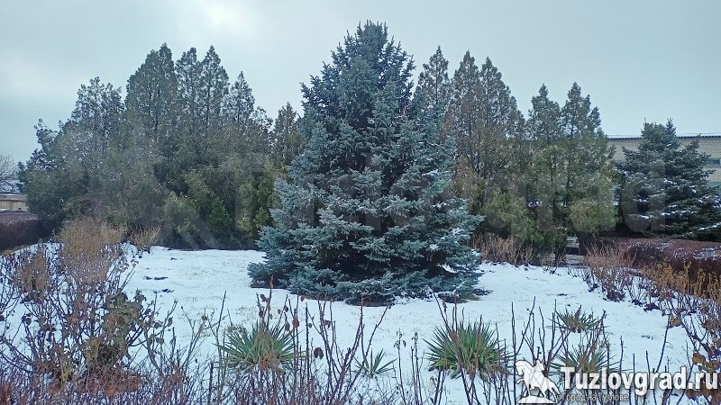 В Новочеркасске ожидается метель и понижение температуры до -20С