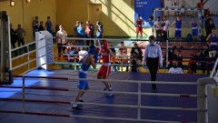 В Новочеркасске стартовал чемпионат Ростовской области по боксу