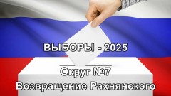 Выборы в новочеркасскую городскую Думу, округ 7