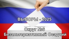 Выборы в новочеркасскую городскую Думу, округ 6