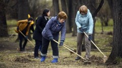 Жителей Новочеркасска приглашают принять участие в уборке кладбища в микрорайоне Октябрьском