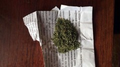 Житель Новочеркасска нарвал конопли и получил полгода исправительных работ