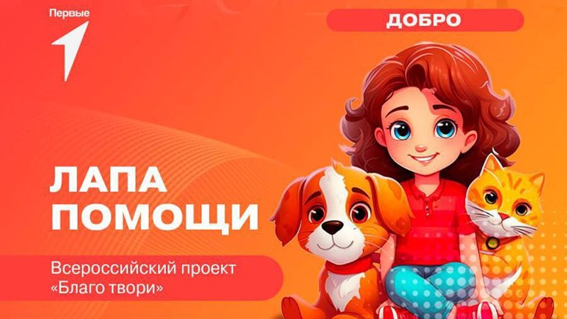 Жителей Новочеркасска просят помочь бездомным животным