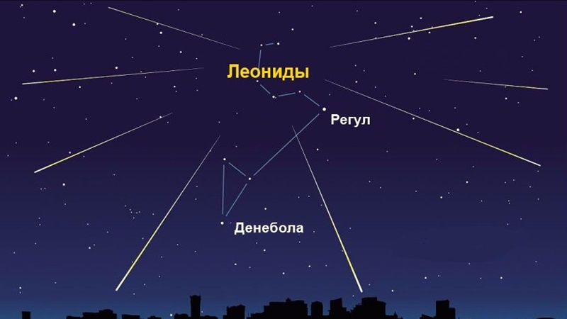 Жители Новочеркасска в ноябре смогут увидеть метеоритный дождь