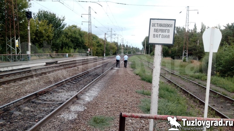 В Новочеркасске под пассажирским поездом погиб мужчина