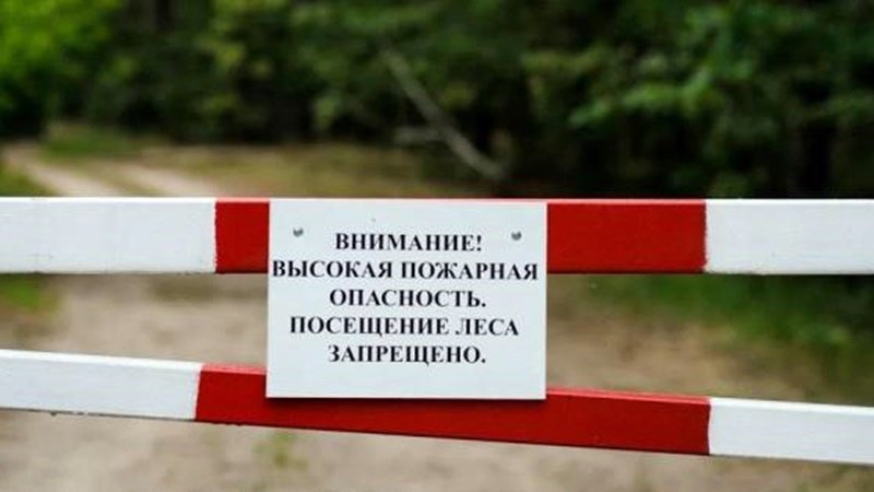 В Ростовской области продлили режим ограничения пребывания в лесах до 22 сентября