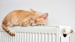 В Новочеркасске отопительный период продлили до 22 апреля