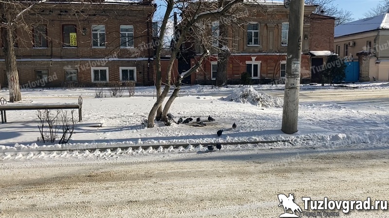 В Новочеркасске прогнозируют затяжной снегопад и похолодание