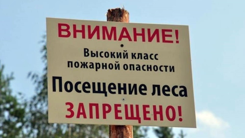 В Ростовской области ввели режим ограничения пребывания в лесах