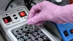 Геномная регистрация для мигрантов при въезде в Россию станет обязательной