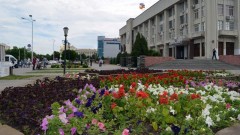 В Новочеркасске на уход за растениями выделили почти 6 миллионов рублей