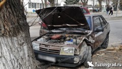 В Новочеркасске пенсионерка отвлеклась за рулем, врезалась в дерево и перевернулась