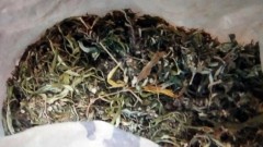 В Новочеркасске полицейские поймали наркодилера с полутора килограммами марихуаны