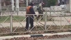 Администрация Новочеркасска разорвала контракт на покос травы с недобросовестным подрядчиком