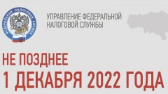 У жителей Новочеркасска, как и у всех россиян, осталось два дня на уплату имущественных налогов