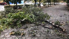 В Новочеркасске в ближайшие дни ожидается штормовой ветер