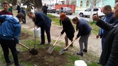 В Новочеркасске 9 апреля высадят более 600 деревьев и кустарников
