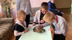 Трогательный зоопарк побывал в новочеркасской школе-интернате