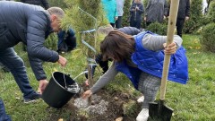 В Новочеркасске в День древонасаждения высадили более 300 деревьев