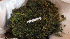 Жителя Новочеркасска задержали за распитие пива на улице и нашли у него в кармане коноплю