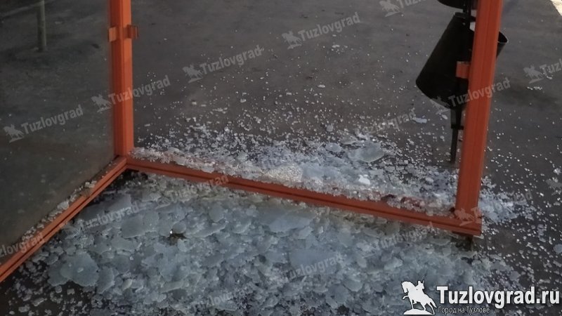 В Новочеркасске молодой человек выстрелил в автобусную остановку из пистолета, видео