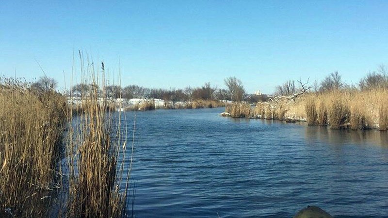 Расчищать дамбу в микрорайоне Луговом в Новочеркасске будет местный предприниматель