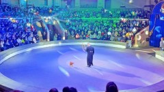 63 особенных ребенка из новочеркасского клуба «Радуга добра» посетили открытую репетицию Ростовского государственного цирка