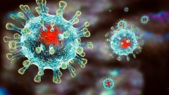 В Новочеркасске за прошедшие сутки не выявлено новых случаев заражения коронавирусом