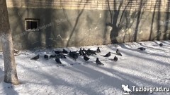 В Новочеркасске ожидаются морозы и первый серьезный снегопад