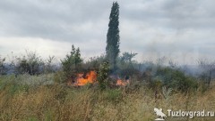 Новочеркасские пожарные спасли жилые дома на Ключевом во время ландшафтного пожара, видео