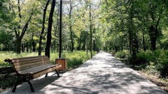 Жителей Новочеркасска приглашают принять участие в акции по высадке деревьев