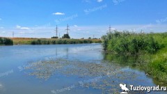 В Новочеркасске из реки Аксай выловили труп утопленника