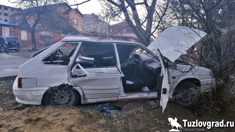 Водитель угнанной машины, на которой разбились подростки в Новочеркасске, помещен под стражу