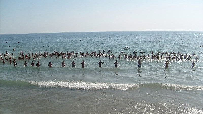 Более 350 детей из малоимущих и многодетных семей Новочеркасска отдохнули летом за счет бюджета