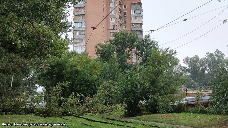В Новочеркасске упавшее на провода дерево прервало движение трамваев по второму маршруту