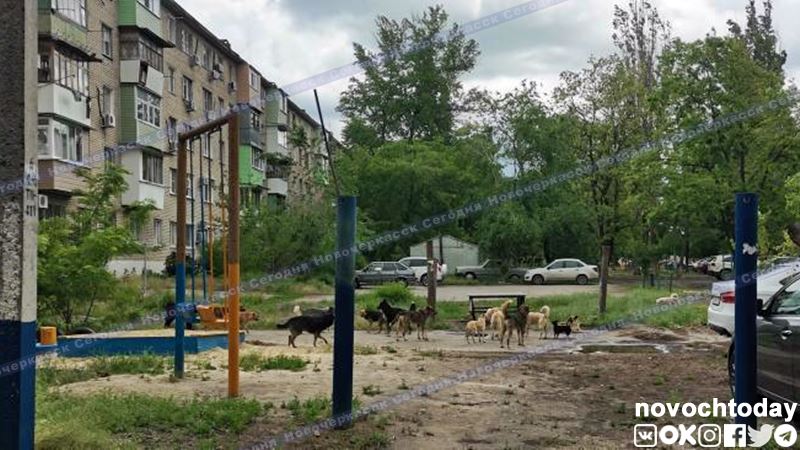 В 2020 году в Ростовской области почти 10 тысяч человек обратились в больницы после укусов животных