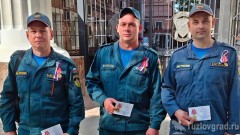 Троих пожарных из Новочеркасска наградили медалями