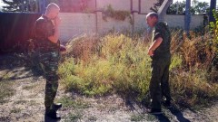 В Новочеркасске уничтожили 57 килограммов дикорастущей конопли