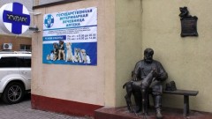Жители Новочеркасска 25 июня могут стерилизовать домашних животных по льготной цене